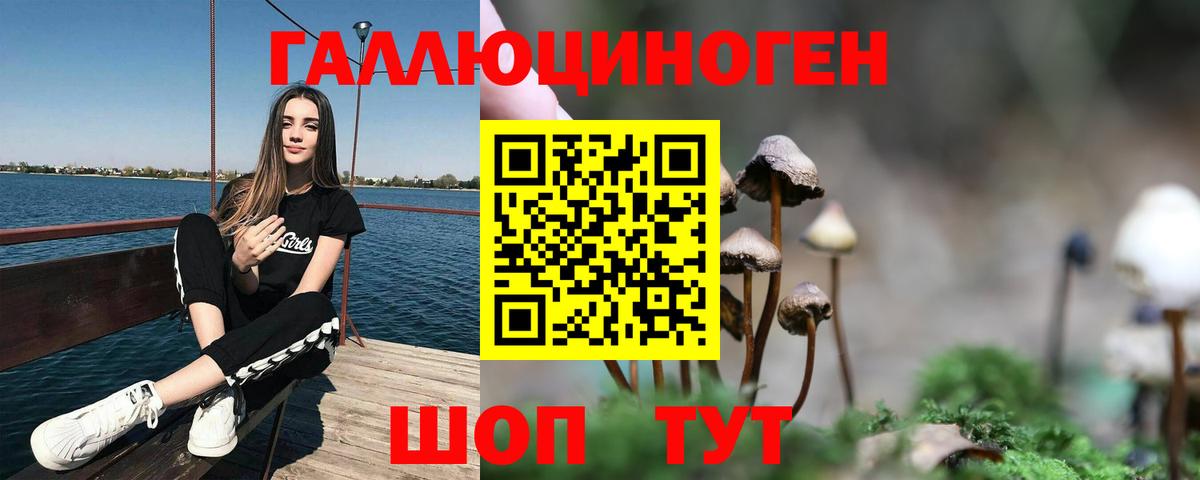 Галлюциногенные грибы Psilocybine cubensis Йошкар-Ола